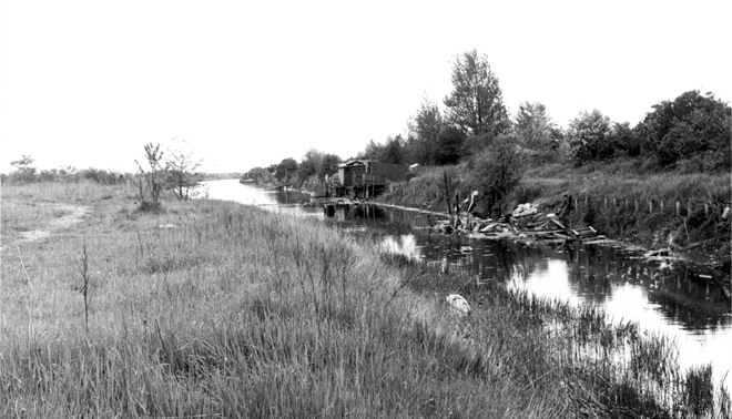 Lorterenden