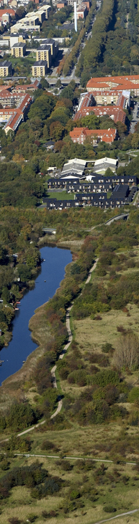 Borgbjergsvej